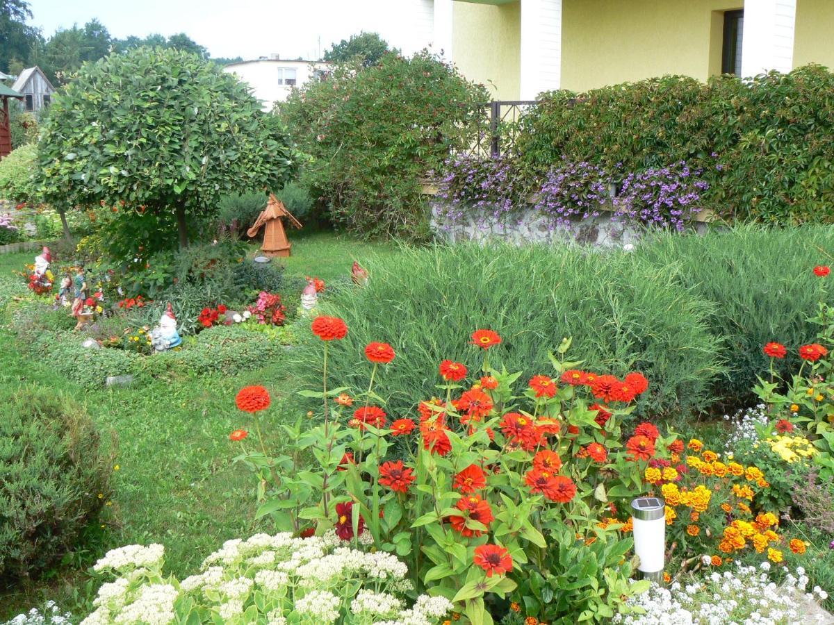 Bajka Bed & Breakfast ดอมกี ภายนอก รูปภาพ